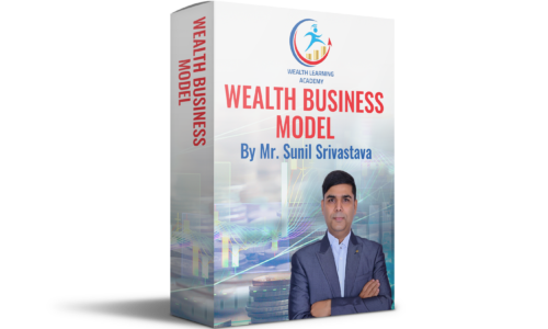 Wealth Business Model